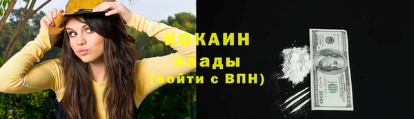 винт Богородицк